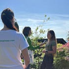 🎙️ Le polpette spinose alla RSI per "Il Giardino di Albert"