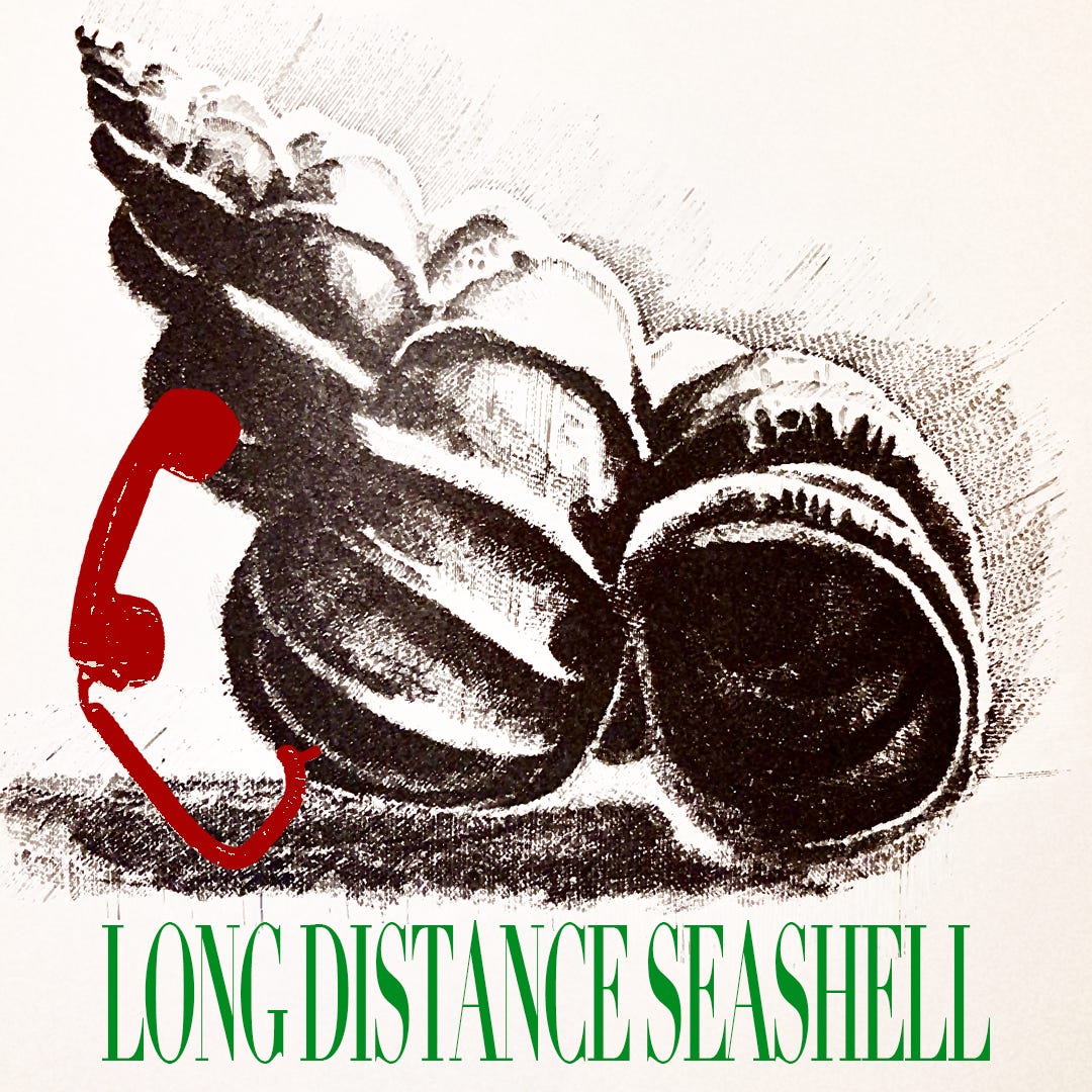 LONG DISTANCE SEASHELL