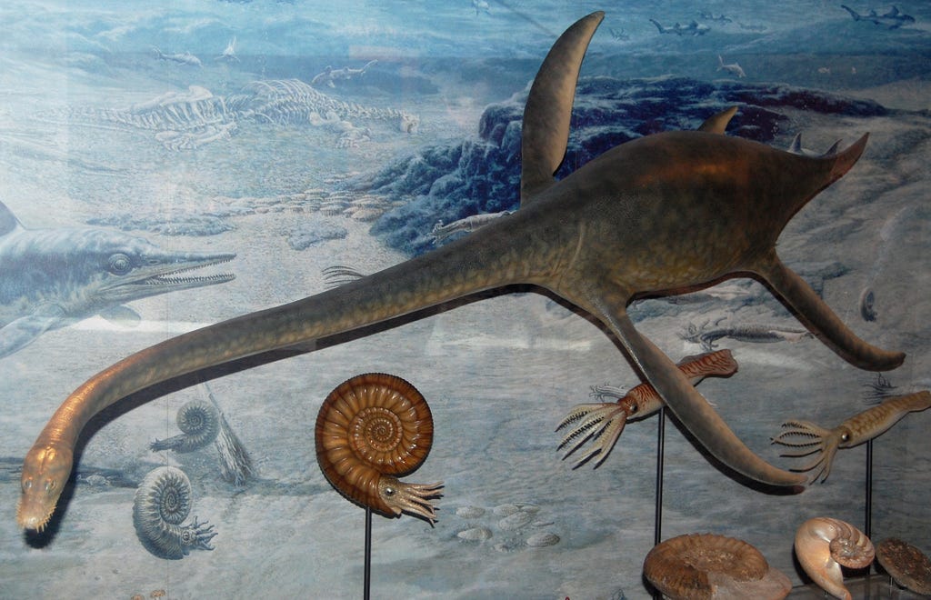 File:Plesiosaur model.jpg - Wikimedia Commons