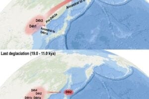 Infochart showing migration from China to Japan, and then to the Americas