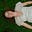 Jane McBride's avatar