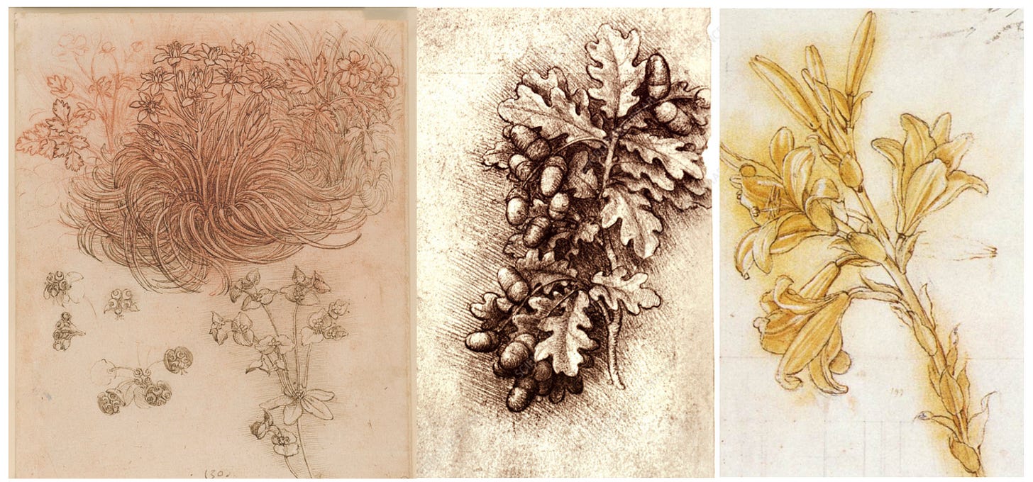 A collage of drawings of flowers

AI-generated content may be incorrect.