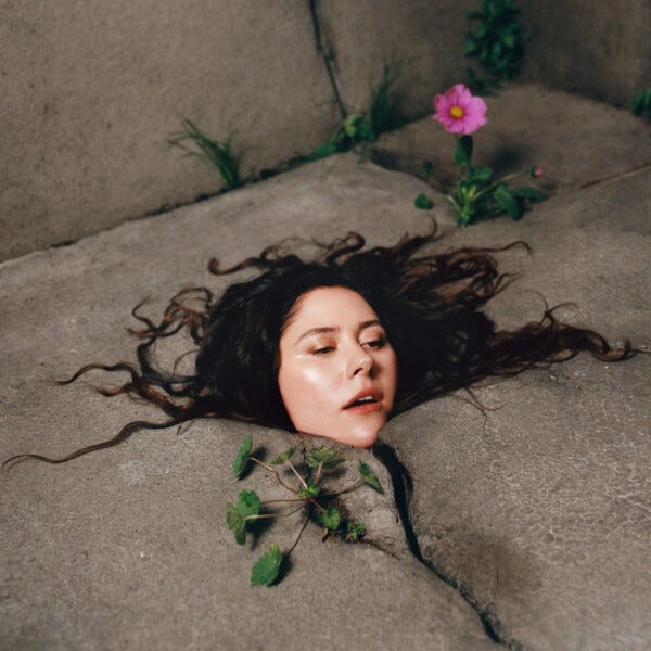 Cover art for The Darkening Green by Eliza