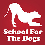 Don't Be a Dick to Your Dog