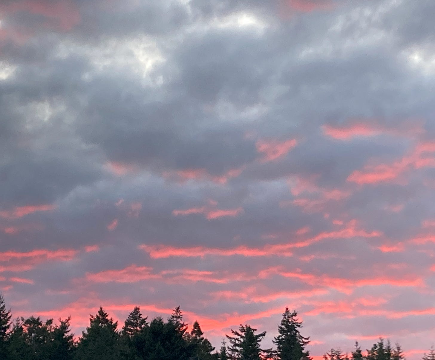 a cloudy sky with red light coming through in patches, with some trees at the bottom of the photo