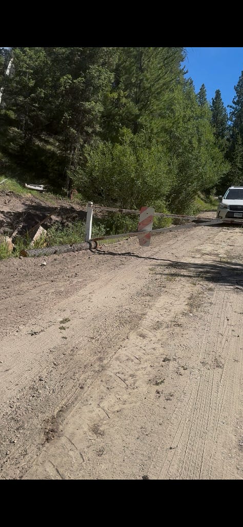Take the road at the road bend to Horse Creek Pass