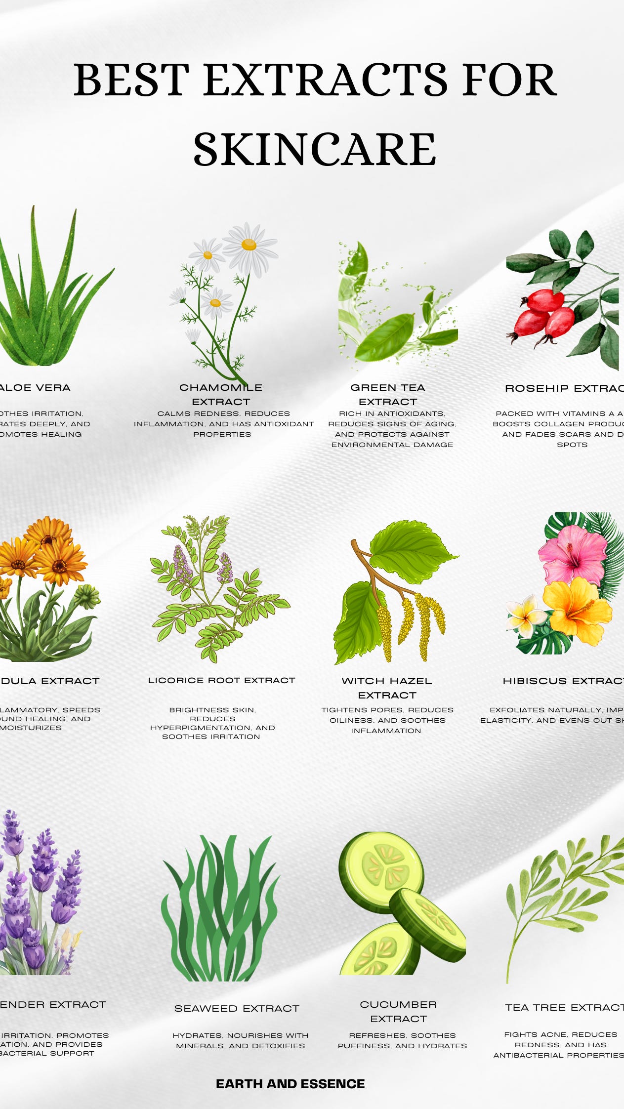 Extracts for skincare with their benefits, with pics of each, aloe, lavender, chamomile, and more