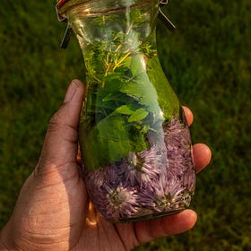 Herb infused vinegar