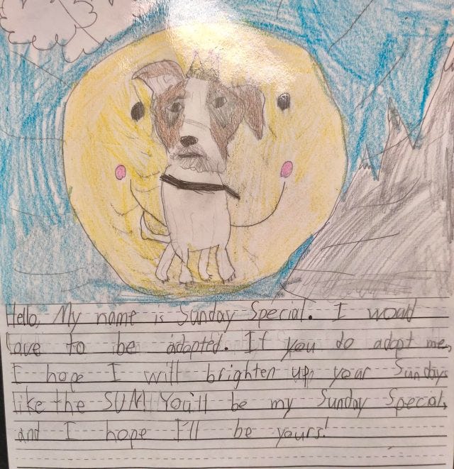 one of the letters written on behalf of shelter pets featuring a bright and cute drawing of a dog