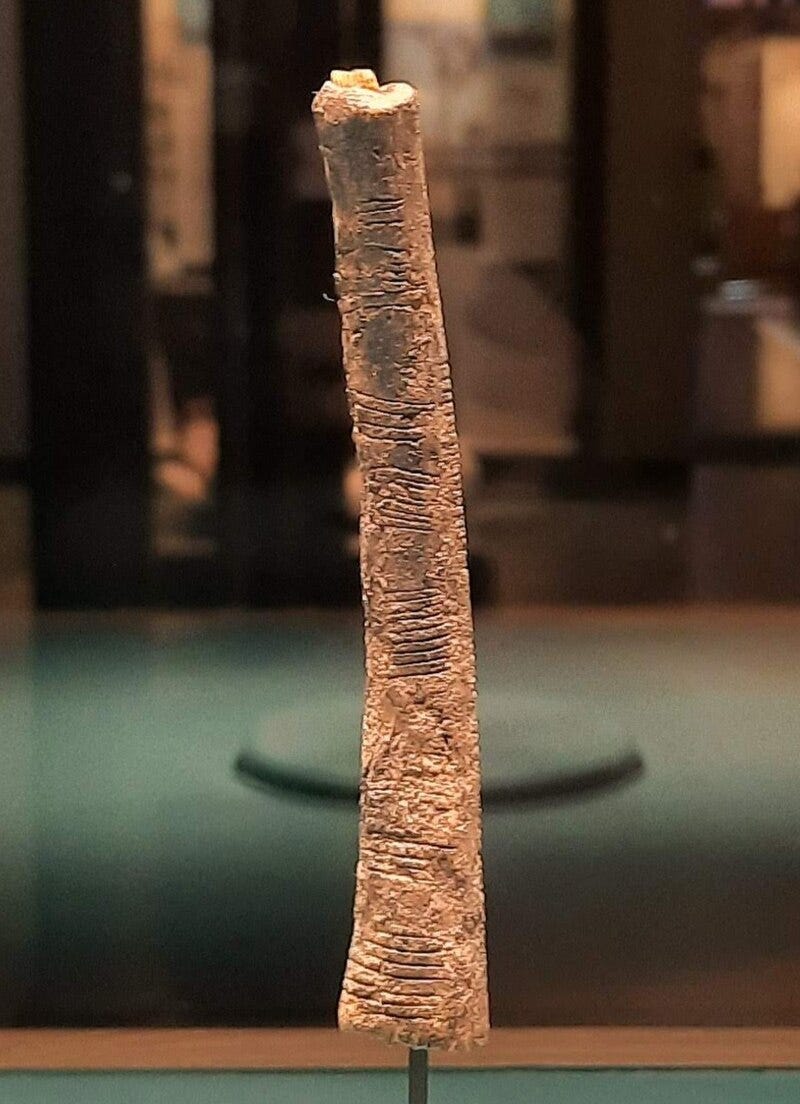 Ishango bone photo from wikimedia click to find photo credits