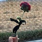 double-edged rose's avatar