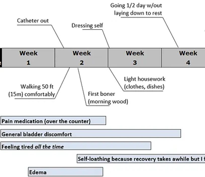 Abbreviated timeline showing the following benchmarks: Early Week 2: Catheter out; walking 50 ft comfortably Mid week 2: First boner (morning wood) Early Week 3: dressing self, light housework (dishes, clothes, etc).  Mid week 4: Going 1/2 day without laying down to rest Additional information:  Pain meds lasted through weeks 1 and 2 General bladder discomfort lasted weeks 1-3.5 Feeling tired all the time lasted first 3 weeks Self loathing began mid-week 2 Edema lasted from mid-week 1 to end of week 3