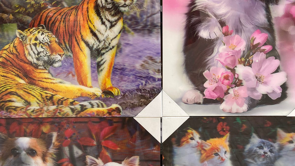 FR 165: Making Colors, Making Camp