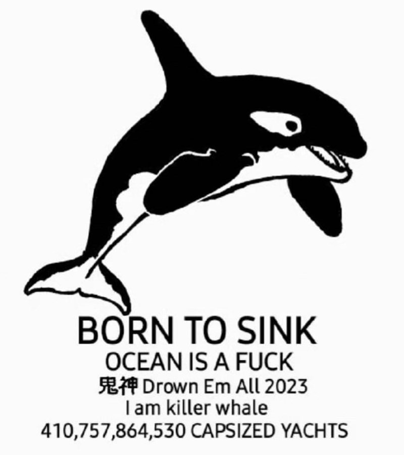 Clipart of an orca, below it reads: BORN TO SINK OCEAN IS A FUCK Drown Em All 2023 I am killer whale 410,757,864,530 CAPSIZED YACHTS