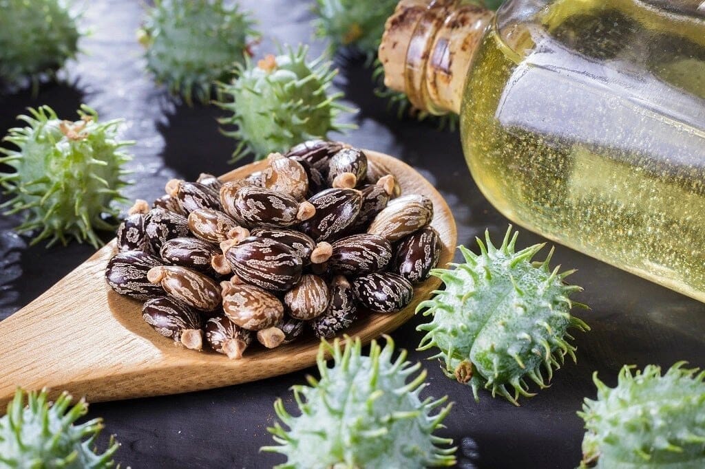 Castor Oil Hair Care Benefits: Tips for Hair Growth & Strength –  MyDiagnostics