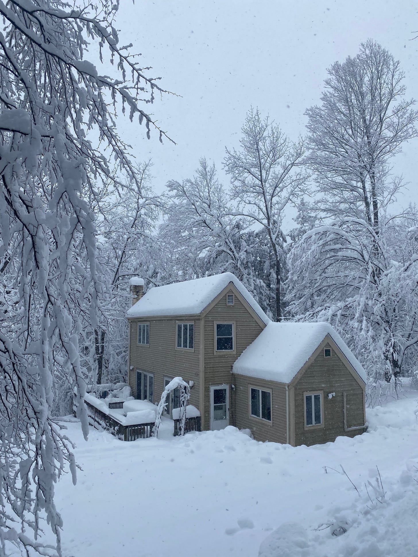 A small house with a steep snow-covered roof and tan siding nestled in a snowy yard, surrounded by snow-covered trees.