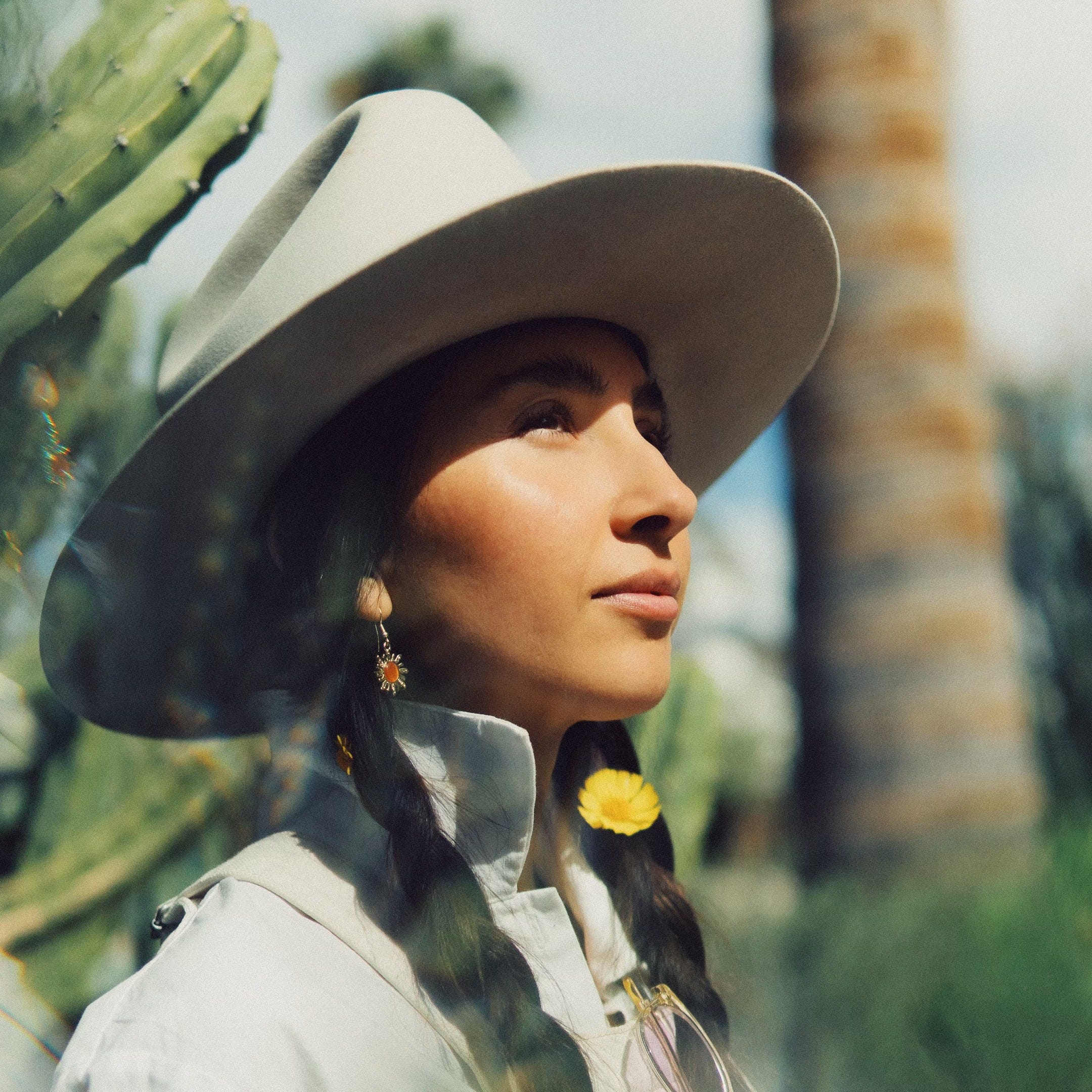 Low Desert Diaries