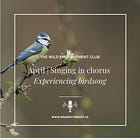 20. The Wild Enchantment Club | Singing in chorus and experiencing birdsong