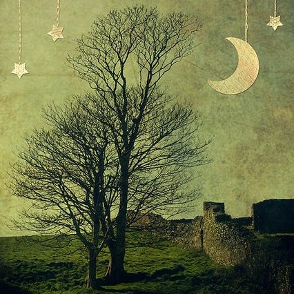 Grayson’s Substack