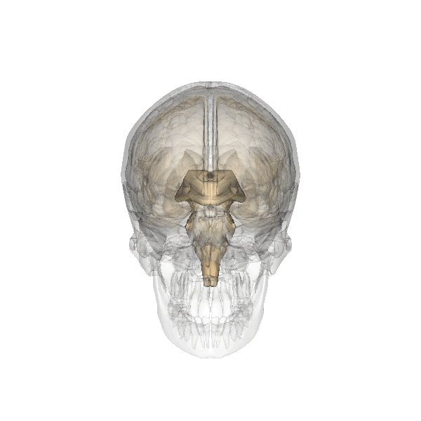 Fluoride Poisons Your Pineal Gland