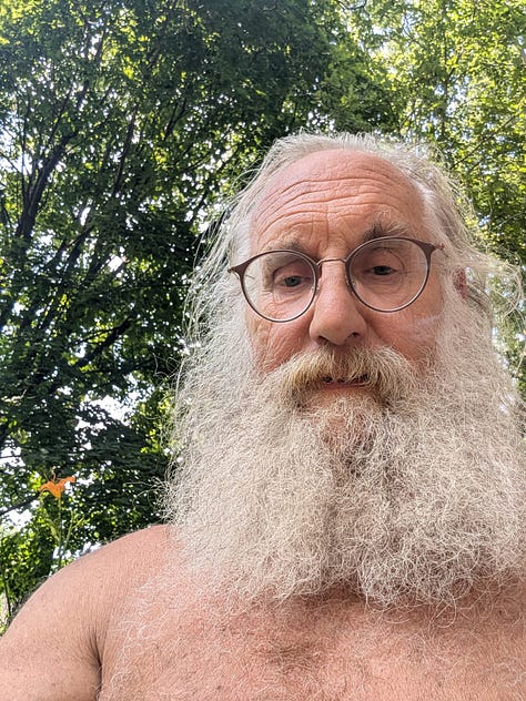 Six-photo collage of Skinny Dip Day participants: Jim with long hair and beard poses under a tree in Wisconsin; John smiles while sitting nude in a creek in Alabama; Elizabeth shows her Naturist Symbol tattoo from behind while bathing in a creek; Bernd walks from a pond at Lichtbund in Germany; Morgan wears a cowboy hat indoors at Turtle Lake in Michigan; and Joel stands smiling in a sunlit backyard pool, location unknown.