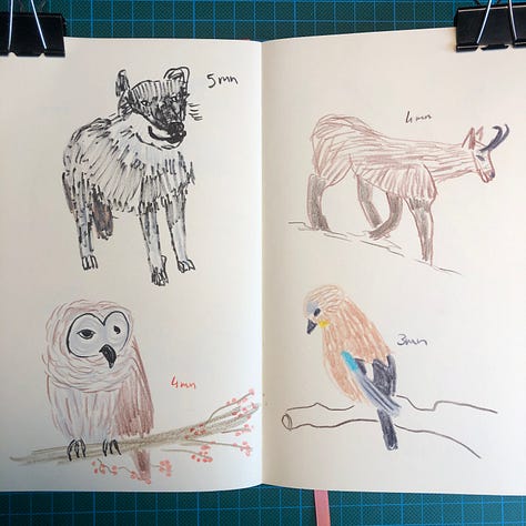 photos des 6 doubles-pages où j'ai dessiné au crayon Pitt Graphite Matt de Faber-Castell et crayons de couleurs Luminance de Caran d'Ache