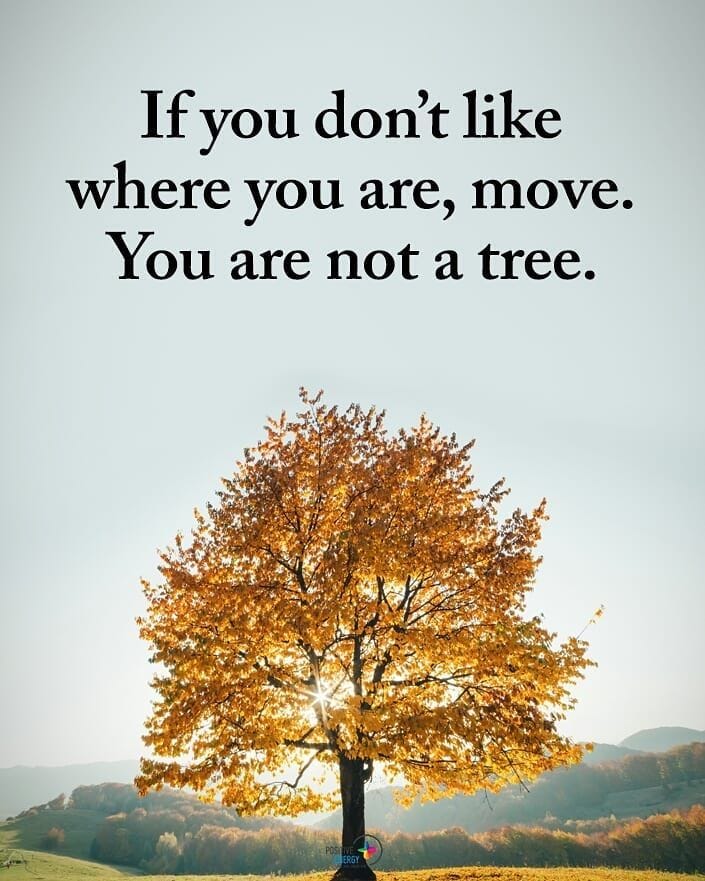 Positive Energy + on Instagram: “If you don't like where you are, move. You  are not a tree. #positiveenergyplus #inspirationalquotes #quotes  #positivethinking #inspiration…”