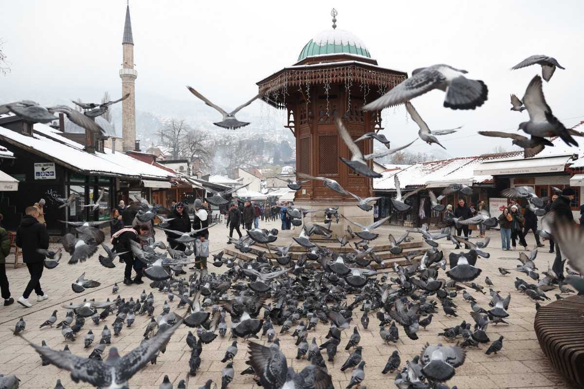 Poletjela golubica sa Baščaršije: Razglednice iz srca Sarajeva