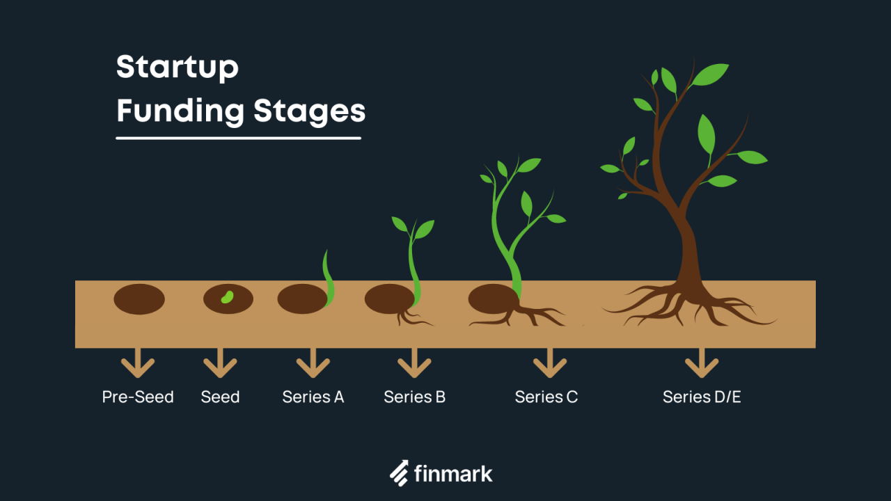 Diagram showing startup funding stages from pre seed to Series E represented as a growing plant.
