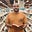 Ahmed Adly's avatar
