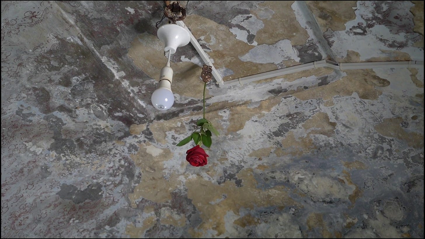 letter to a friend (Emily Jacir, 2019) letter to a friend (Emily Jacir, 2019)