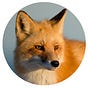 A.C. Luke's avatar