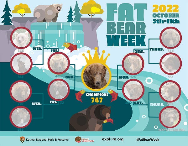 The 2022 Fat Bear Week bracket showing bear 747 as the winner crowned in the center.