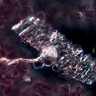 Hydrogel interface found in the blood