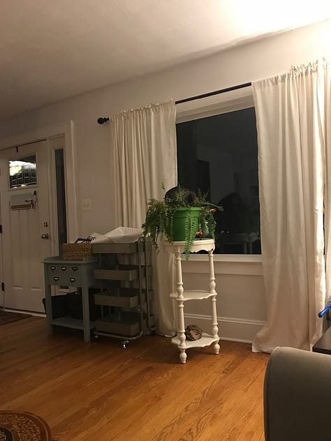 Eight pictures of houseplants. The center photo is a candle.