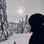 Tim Sawchuk's avatar