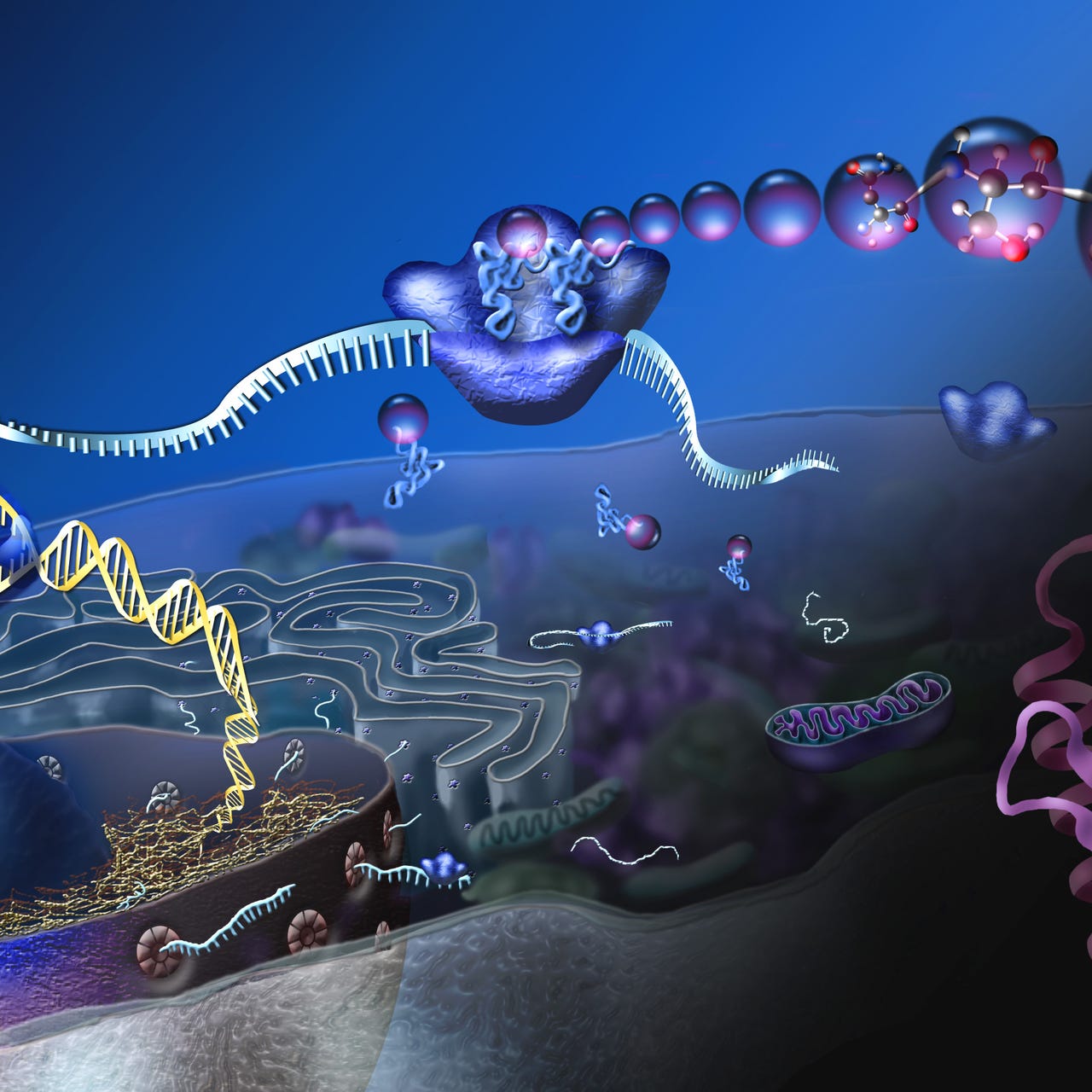 Rube Goldberg's razor