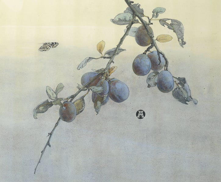 Leopard Moth and Plums Leopard Moth and Plums