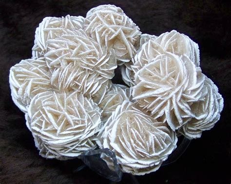 Gypsum Rose - I want this so badly for my house! | Rocks, gems ...
