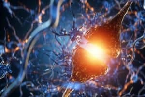 brain signal