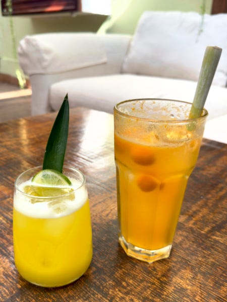 We ordered two Pisco cocktails: a pisco punch and a chilcano