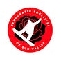 Sun Valley DSA's avatar