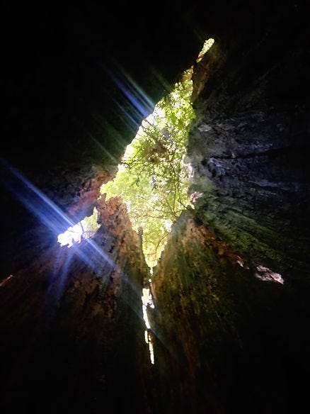 View from inside a dark cave looking up at a bright opening with sun rays and green foliage. The mood is dramatic and awe-inspiring.