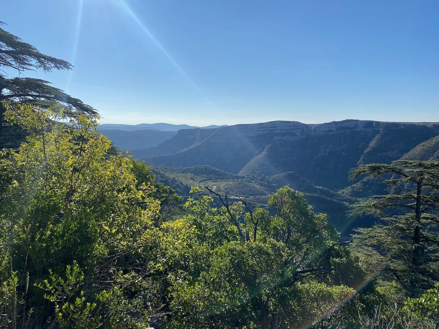 Gorges de la Vis