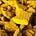 Uranium investor's avatar
