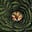 Cat's avatar