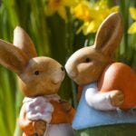bunnies bunnies