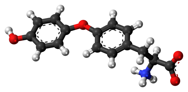 thyronine molecule