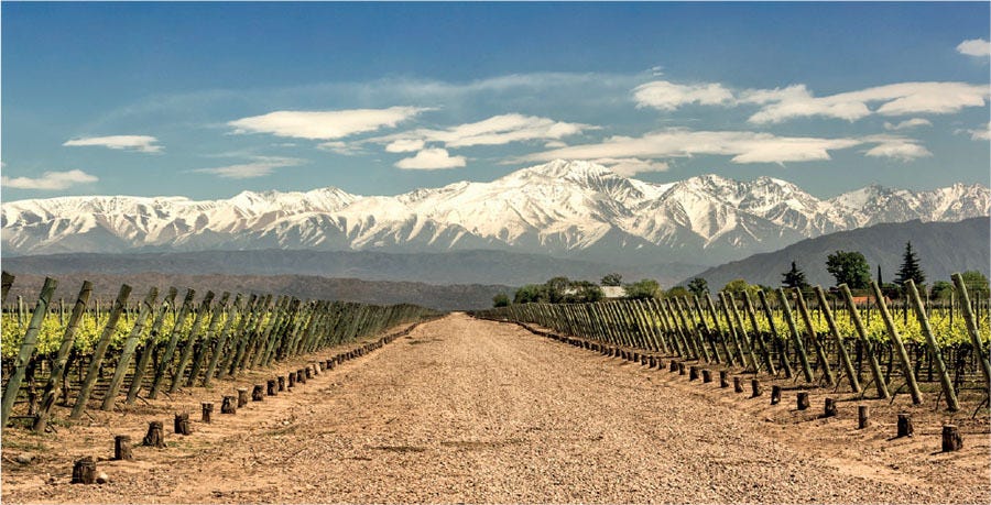 mendoza is argentinas wine capital producing 70 of the countrys wine mendoza is argentinas wine capital producing 70 of the countrys wine