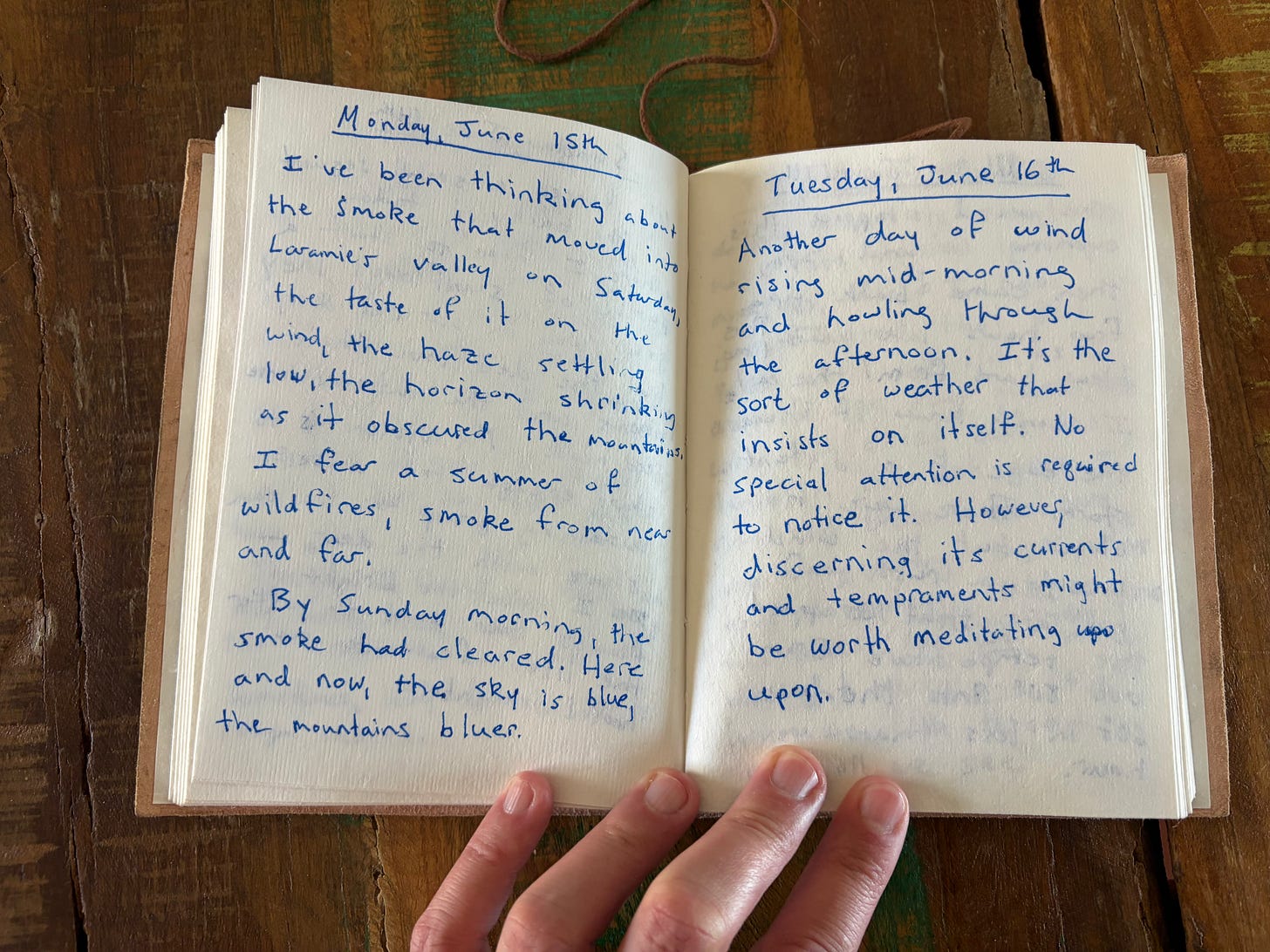 Image of handwritten journal (text transcript below)